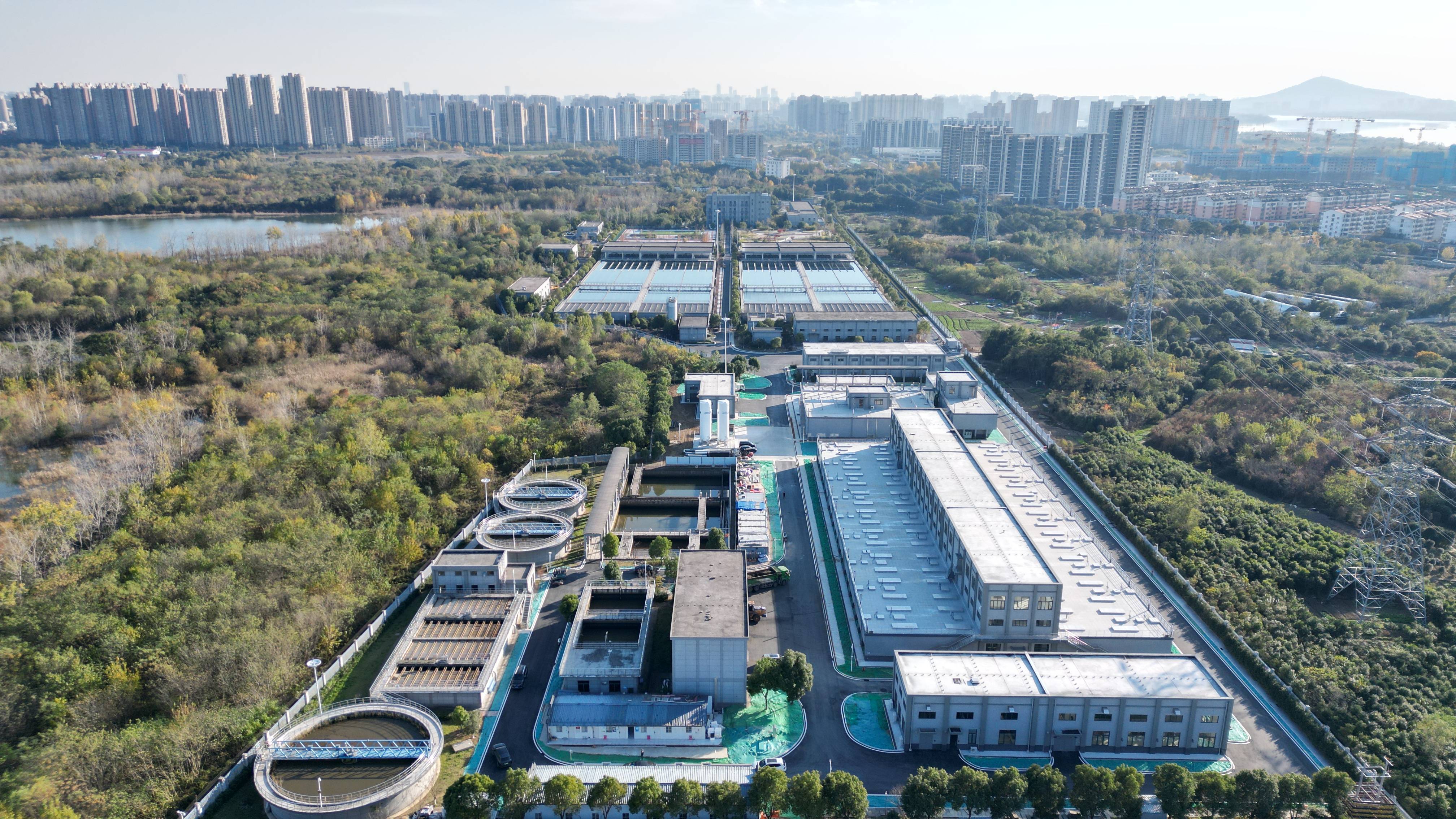 日照市合肥专业企业价值增长(合肥市重点企业产业目录)