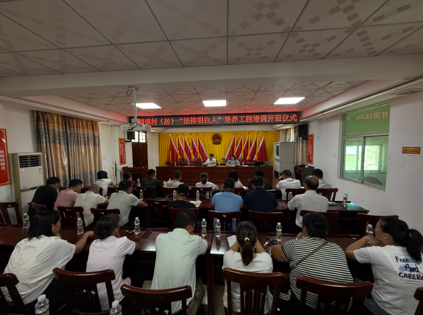 日照市海口专业法务咨询(海南法之道法务咨询有限公司)