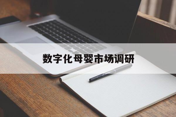 日照市数字化母婴市场调研(数字化母婴市场调研报告)